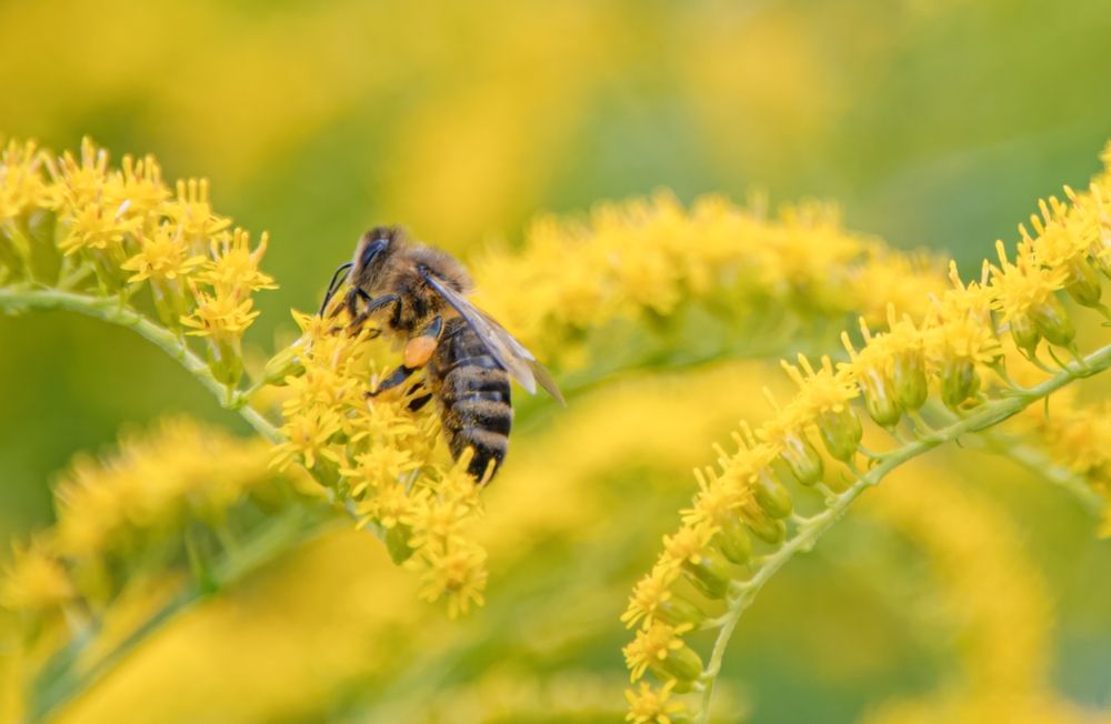 Foto: Shutterstock